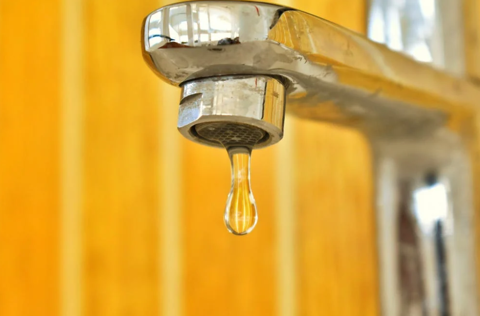 water filter
